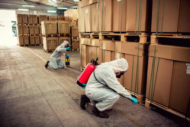 Best Pest Control Near Me in Stockbridge, GA
