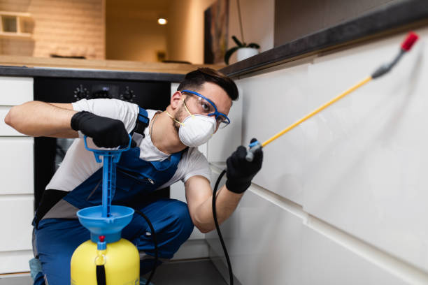 Best Emergency Pest Control  in Stockbridge, GA