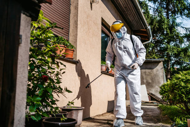 Professional Pest Control in Stockbridge, GA