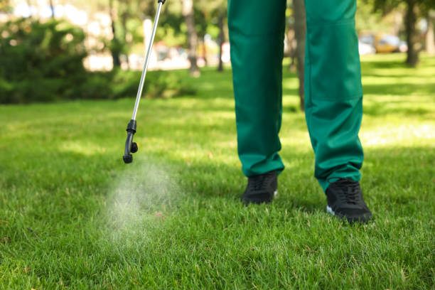 Best Ant Control Services  in Stockbridge, GA