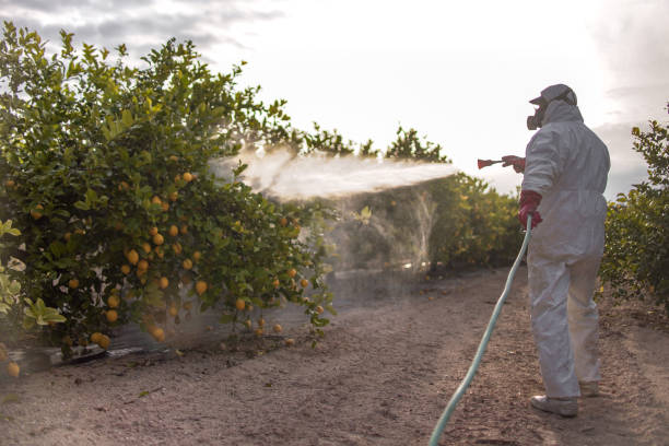 Best Termite Control Services  in Stockbridge, GA