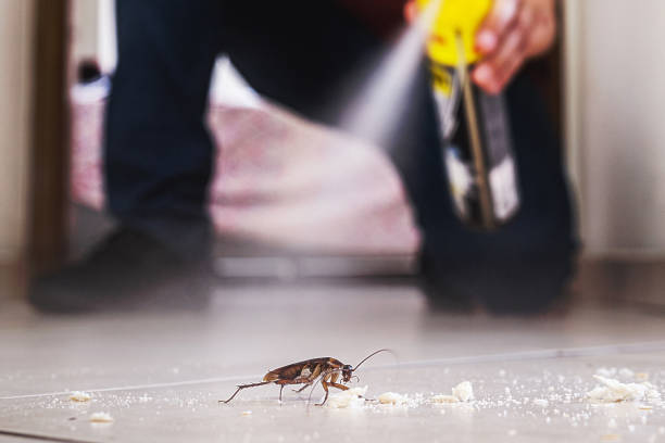 Best Pest Control for Businesses  in Stockbridge, GA