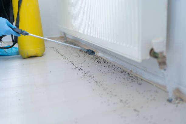 Best Pest Control Near Me  in Stockbridge, GA